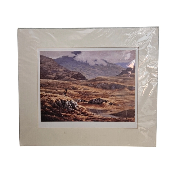 Julian Friers Wildlife Red Stag & Hinds  14"x12" Artwork Print - Picture 1 of 10